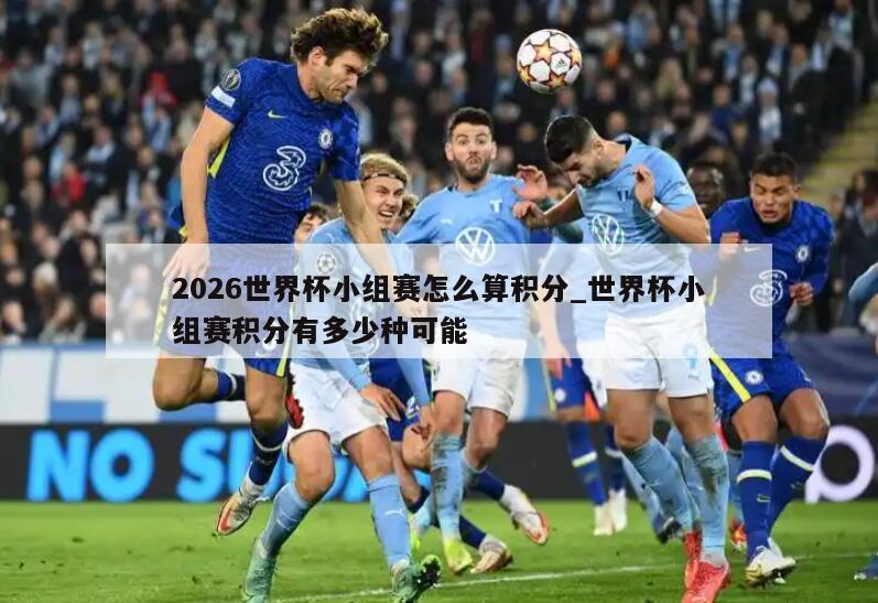 2026世界杯小组赛怎么算积分_世界杯小组赛积分有多少种可能