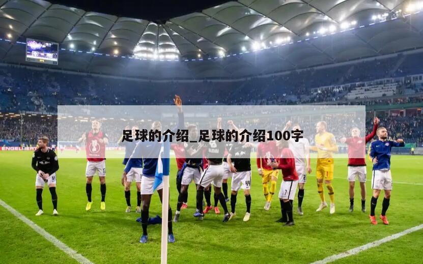 足球的介绍_足球的介绍100字