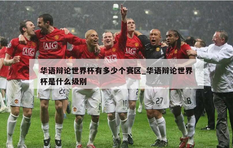 华语辩论世界杯有多少个赛区_华语辩论世界杯是什么级别