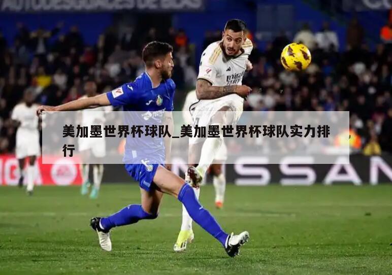 美加墨世界杯球队_美加墨世界杯球队实力排行