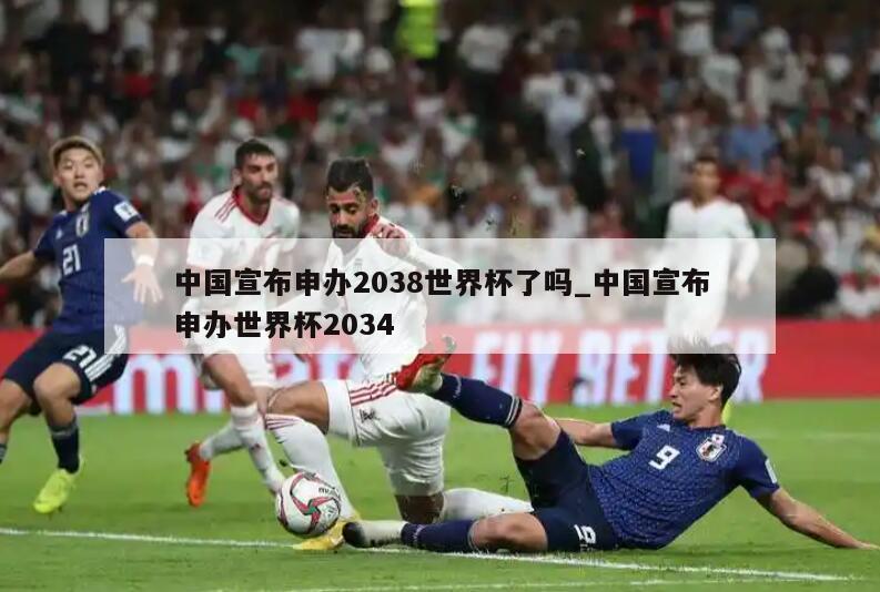 中国宣布申办2038世界杯了吗_中国宣布申办世界杯2034