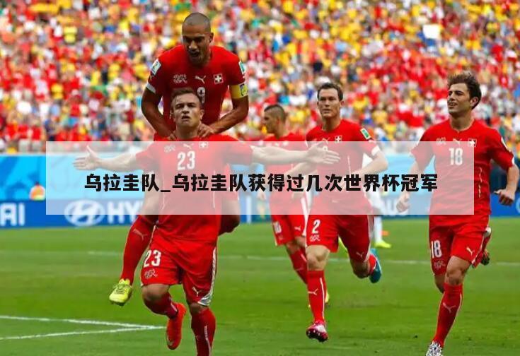 乌拉圭队_乌拉圭队获得过几次世界杯冠军