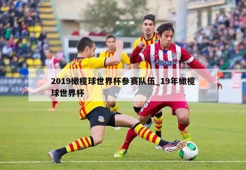 2019橄榄球世界杯参赛队伍_19年橄榄球世界杯