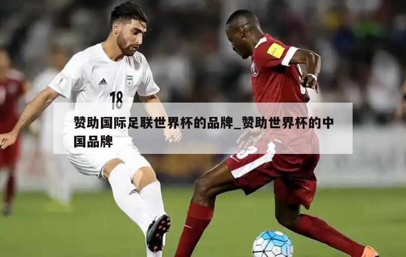 赞助国际足联世界杯的品牌_赞助世界杯的中国品牌