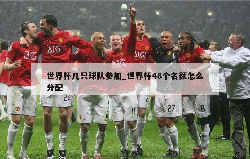 世界杯几只球队参加_世界杯48个名额怎么分配