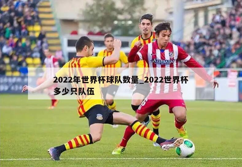 2022年世界杯球队数量_2022世界杯多少只队伍