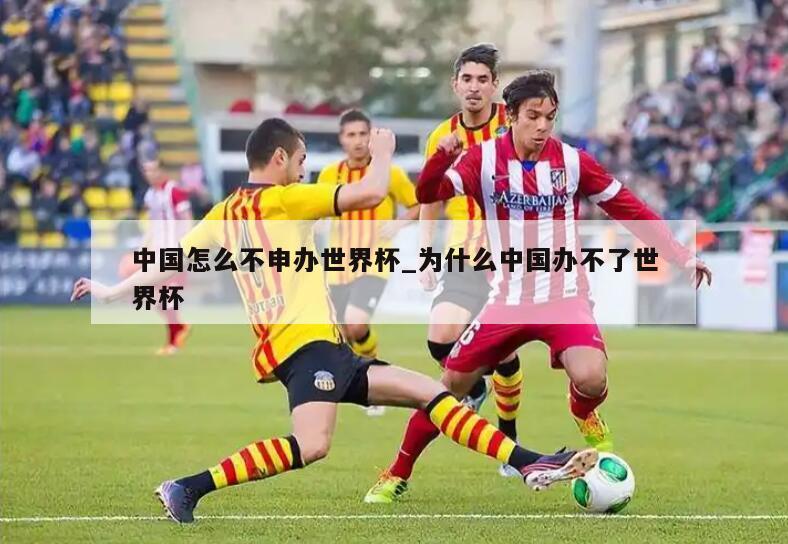 中国怎么不申办世界杯_为什么中国办不了世界杯
