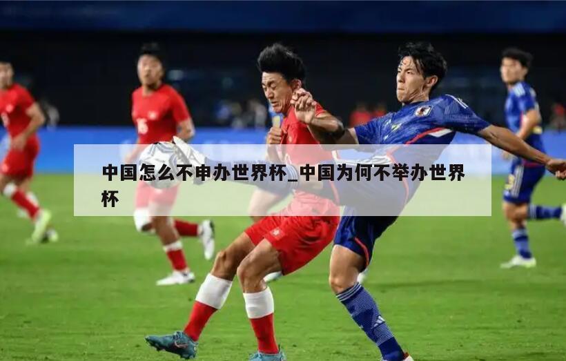 中国怎么不申办世界杯_中国为何不举办世界杯