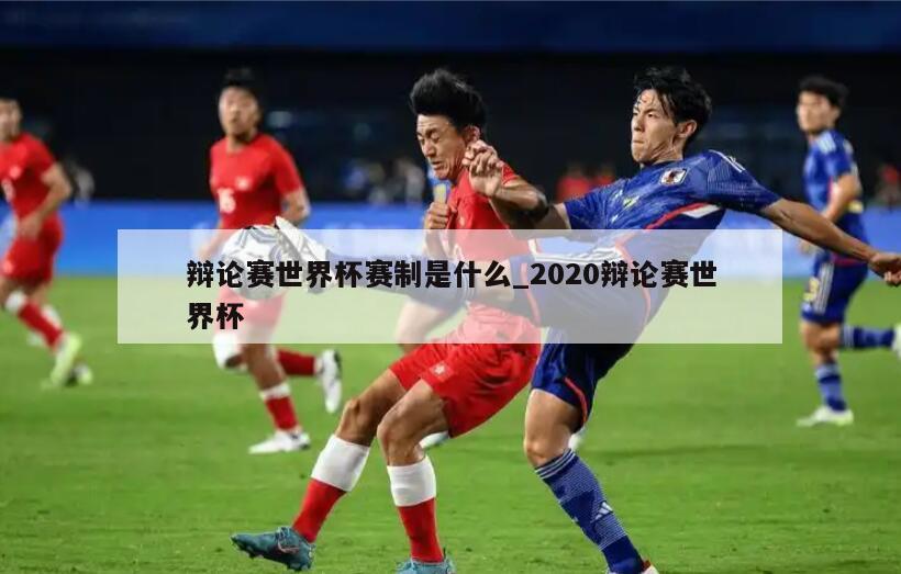 辩论赛世界杯赛制是什么_2020辩论赛世界杯