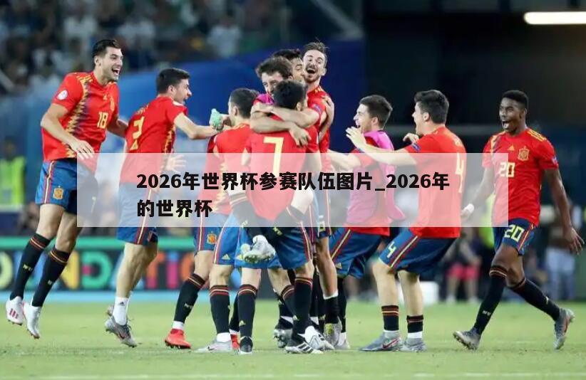 2026年世界杯参赛队伍图片_2026年的世界杯