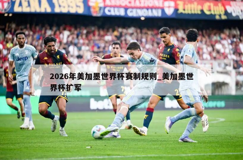 2026年美加墨世界杯赛制规则_美加墨世界杯扩军