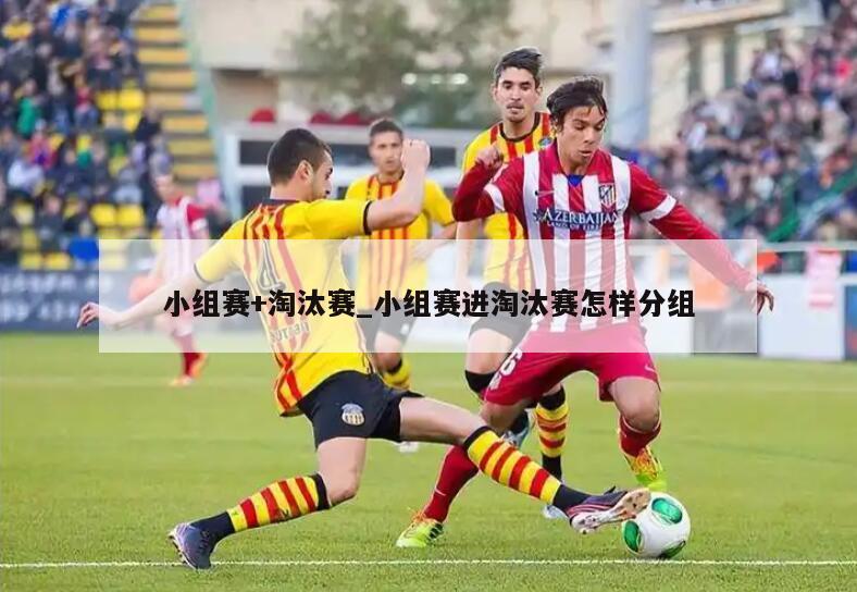 小组赛+淘汰赛_小组赛进淘汰赛怎样分组